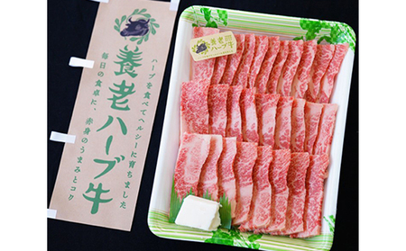 養老ハーブ牛　バラカルビ　焼肉用　500g