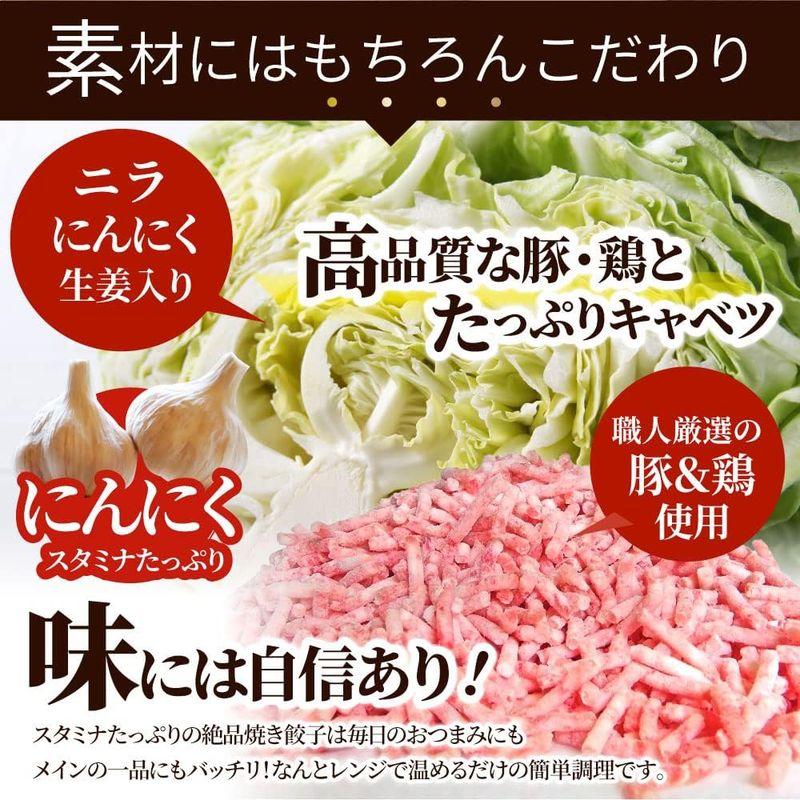 しゃぶまる にんにくたっぷり レンジで簡単 焼き餃子 ギョウザ 120個(1kg×3)