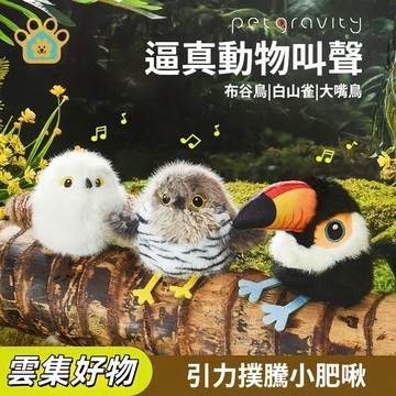 台灣出貨🔥撲騰小肥啾 小鳥逗貓棒 貓玩具 逗貓仿真發聲小鳥 電動小鳥 小鳥逗貓棒 貓玩具 自動逗貓 寵物玩具 貓咪玩具