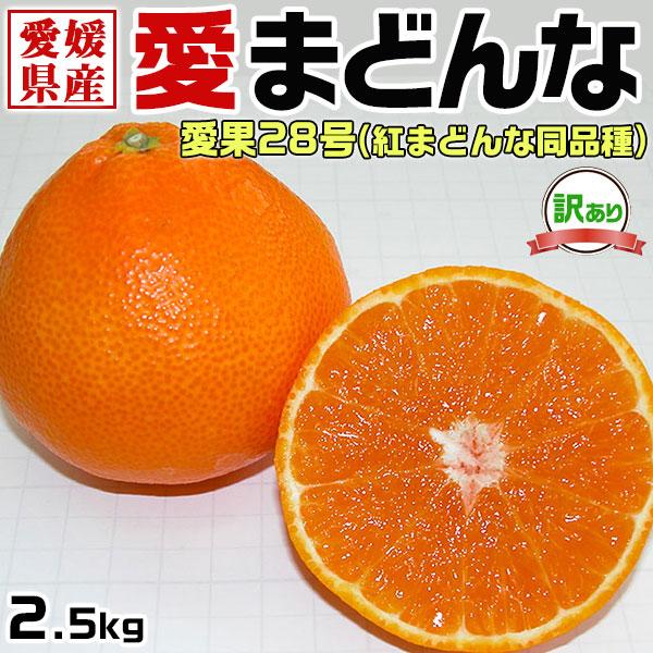 みかん 訳あり 愛 まどんな 3kg 愛果28号 愛媛県産 高級柑橘 紅マドンナ 同品種 S農園 ミカン 家庭用 自宅用 送料無料 お歳暮　クリスマス