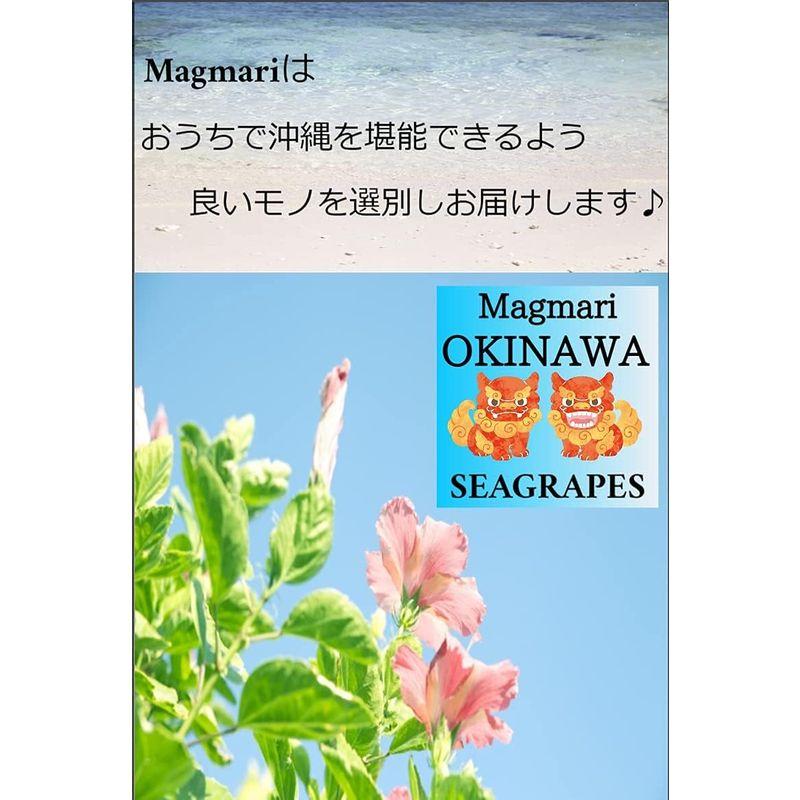 海ぶどう うみぶどう 沖縄 沖縄県産 海洋深層 で育てた海ぶどう A級品 大粒 琉球 海ぶどう300g (300g)