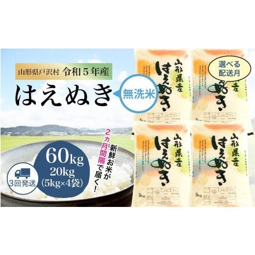 令和5年産 山形県戸沢村 厳選 はえぬき   60? 定期便（20kg×2カ月ごと3回お届け） ＜配送時期指定可＞