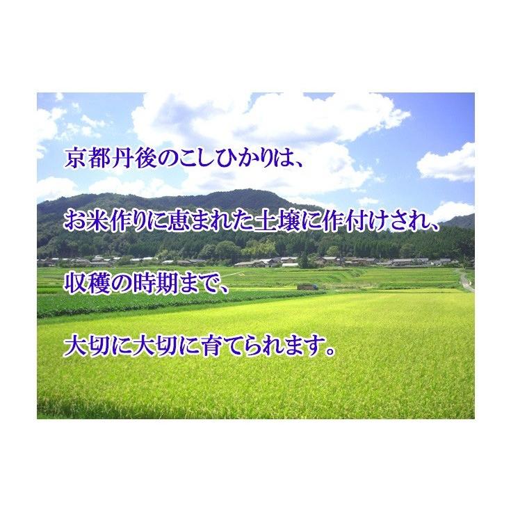 新米 お米 2kg こしひかり 白米 分づき 京都米 丹後産 一等米 当日精米 令和5年産