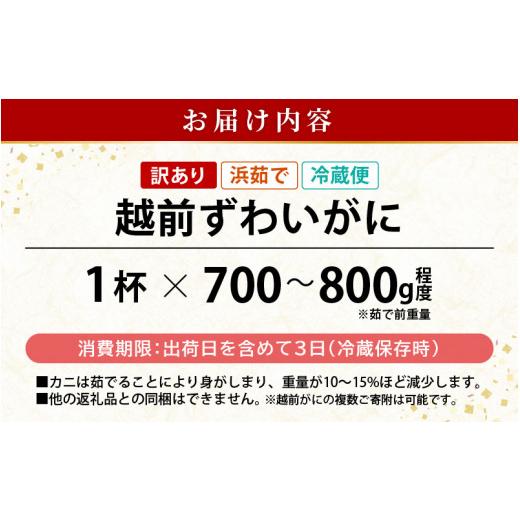 ふるさと納税 福井県 越前町 ≪浜茹で≫ 越前がに 約700〜800g × 1杯（茹で前重量）食べ方しおり付き【雄 ズワイガニ ずわいがに かに カニ 蟹 姿 …