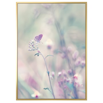 BOLUO GALLERY 菠蘿選畫所 植光掠影III BFLS3404G  30 x 40cm  金色