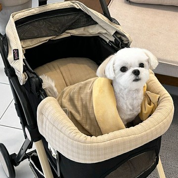 【ParisDog】簡約格紋推車護墊/睡墊 (寵物推車配件 寵物推車座墊)
