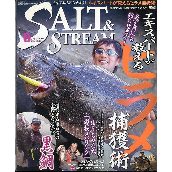 SALTSTREAM（ソルト＆ストリーム）　２０１４年６月号　　＜送料無料＞