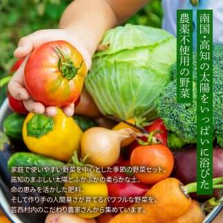 野菜セット（7‐9種類） 《3カ月定期便》 栽培期間中農薬不使用！ 季節の野菜 定期コース 定期 無農薬 野菜 やさい 新鮮 自然 健康 セット 詰め合わせ 冷蔵 美味しい おいしい 食べ物 食材 秋