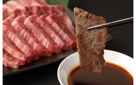  豊後牛 焼肉用 カルビ 切り落とし 約2.5kg (約500g×5パック) 牛肉 中落ち