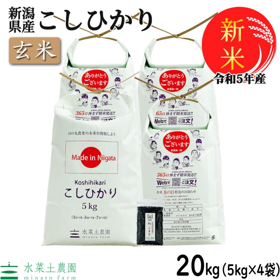 新米 米 お米 玄米 こしひかり 20kg （5kg×4袋） 令和5年産 新潟県産