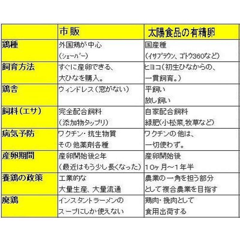 太陽食品 安全卵 高知の卵 10個