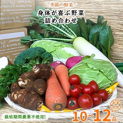 ふるさと納税 神栖市 栽培期間農薬不使用『身体が喜ぶ野菜』(おまかせ10〜12品)