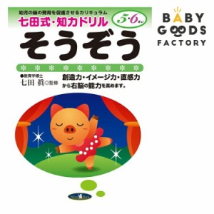 七田式知力ドリル5歳 6歳 子供 子供用 人気  幼児 七田式 幼児の脳の発育を促進させるカリキュラム B5判 シルバーバック