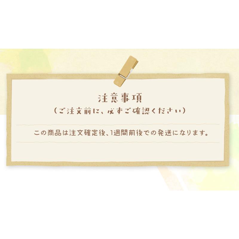 千房 お好み焼ギフト詰合せ    お好み焼き ねぎ焼 大阪 冷凍お好み焼き レンジアップ 豚玉 いか玉 ねぎ焼 もちチーズ   千房