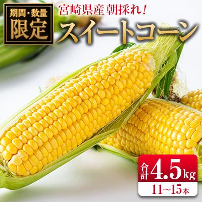 ふるさと納税 宮崎県 ◆朝採れスイートコーン (合計約4.5kg) 宮崎県産