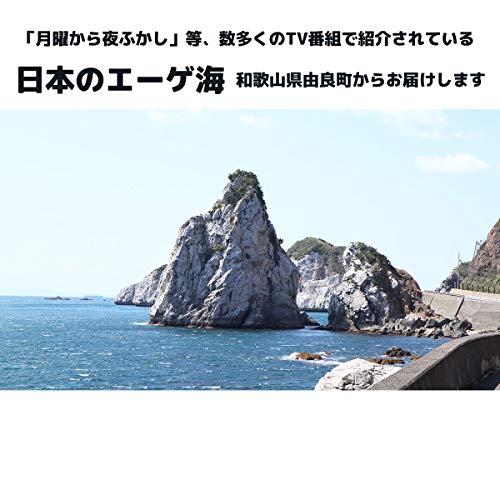 500gパック??2個 新鮮な高級しらすを製造直売 和歌山県から産地直送 冷蔵 しらす丼約20杯分