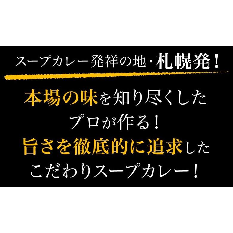 札幌 スープカレー 選べる 4食セット 送料無料   チキン 豚角煮 2種類 北海道 スパイス レトルト