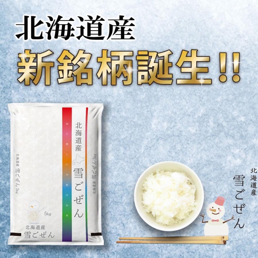 新米 お米 ゆきごぜん 北海道産 5kg 令和5年産