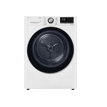 LG 免曬衣10公斤乾衣機(冰瓷白) WR-100VW