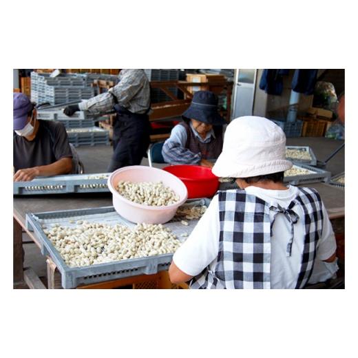 ふるさと納税 鹿児島県 鹿屋市 1680 鹿屋産煎り落花生(殻付)900g