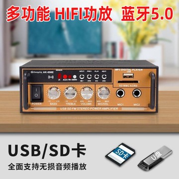 大功率迷你小型藍牙hifi功放機家用無損12V插卡U盤收音空放機