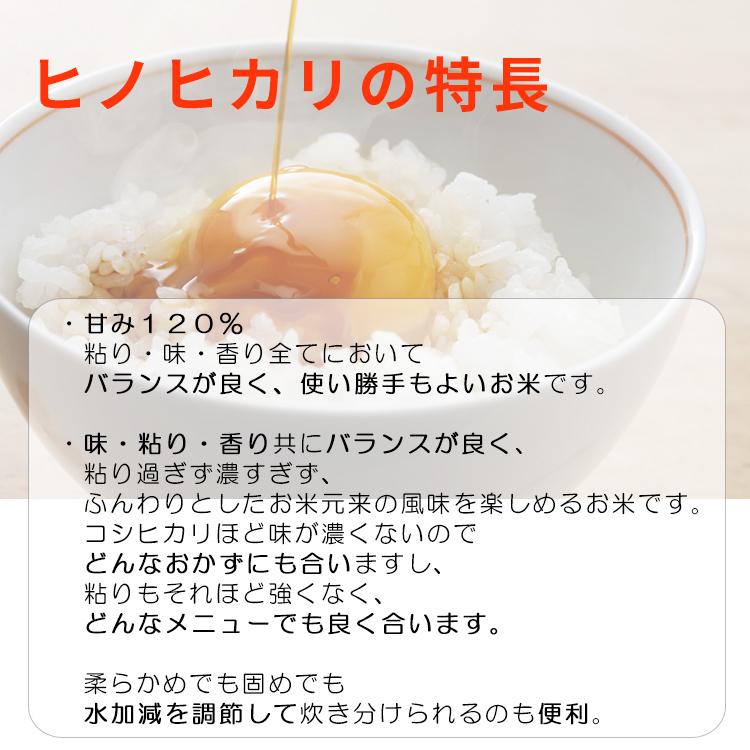 ひろしまの米　い〜ね！ヒノヒカリ5ｋｇ送料無料