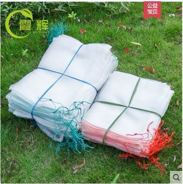 火龍果套袋 防蟲網袋 尼龍網 水果網袋 防蟲防鳥尼龍網袋 束口紗袋 水果套袋 尼龍網袋 防蟲網罩