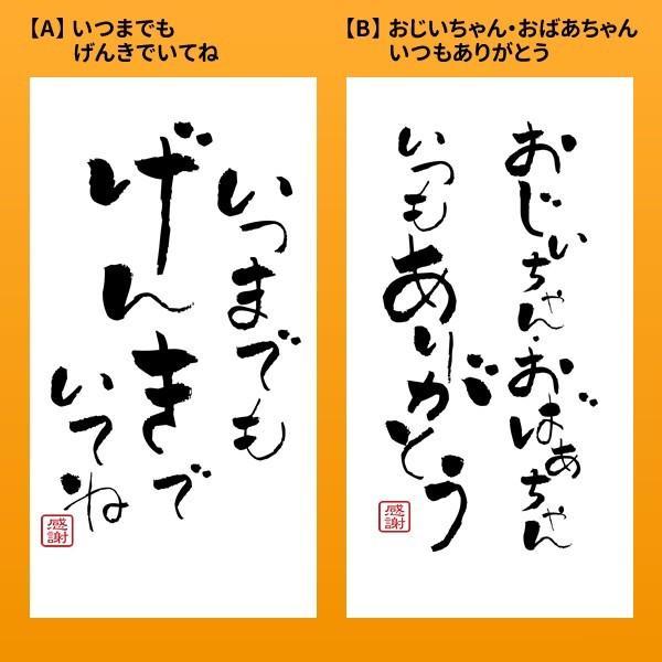 敬老の日 プレゼント お試し ポイント消化 送料無料 ギフト お米 広島県産 コシヒカリ 300g（2合） 健康 米   ※ゆうパケット配送のため日時指定不可