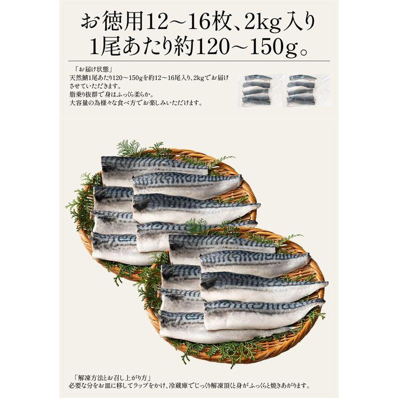 港ダイニングしおそう トロ鯖 2kg (12?16尾入り 1尾あたり120?150g) さば 鯖 サバ 天然鯖 天然 無添加 無塩 魚 海鮮