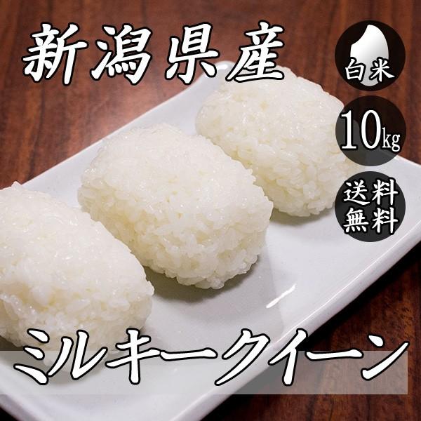 お米 10kg 新潟産 ミルキークイーン 5kg×2袋 送料無料 令和5年産 米 白米