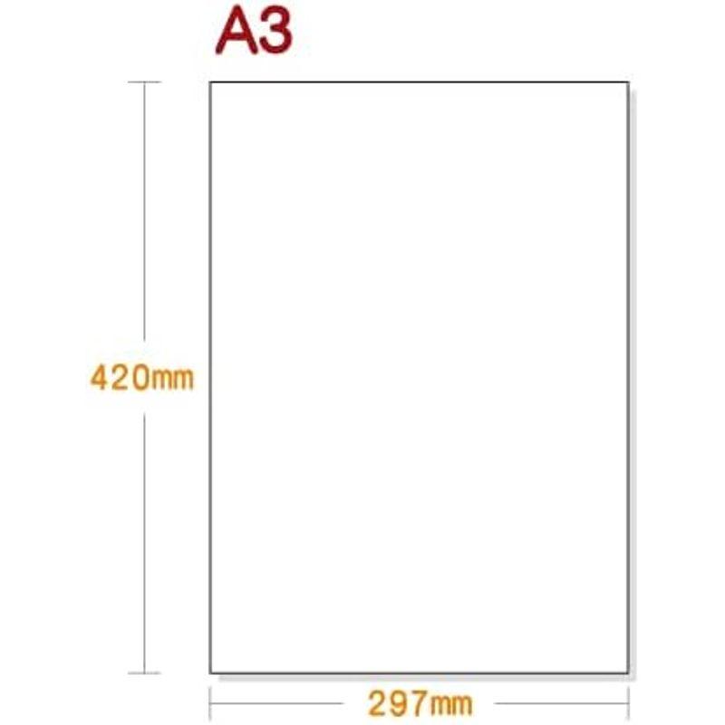 用紙Ｌａｂｏ ノーカーボン用紙 Ａ３ 白紙 （５００枚） 複写用紙 用紙ラボ