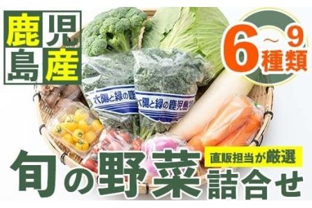 No.788 旬の野菜の詰め合わせ(6~9種類)