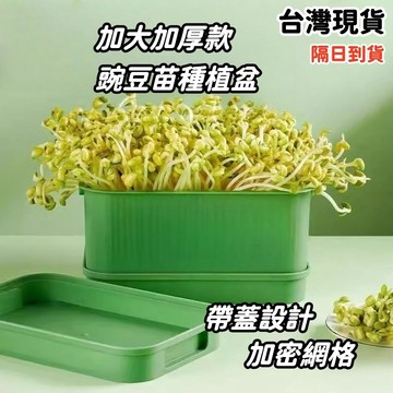 現貨當日出🚩新款加大豆芽發芽盆 種菜盆 水培盆 芽苗菜豆芽盆 育苗盆 豆芽盆 豆芽自發盆 水耕蔬菜 無土栽培 加大加厚
