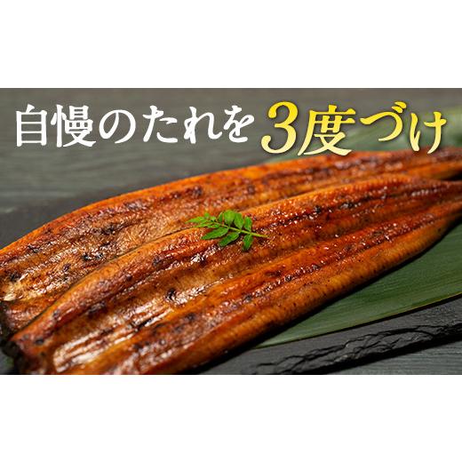 ふるさと納税 高知県 高知市 奇跡の清流「仁淀川」の伏流水で育った高知県産「うなぎ蒲焼」２尾セット