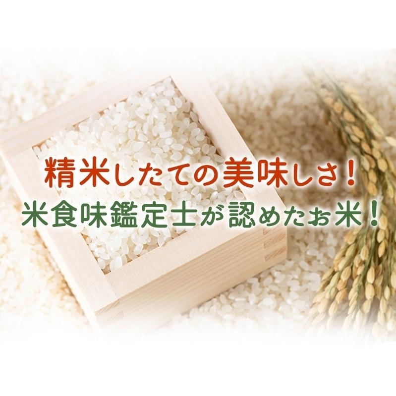 最高級コシヒカリ 令和4年福井県大野産 15kg ※米食味鑑定士鑑定済