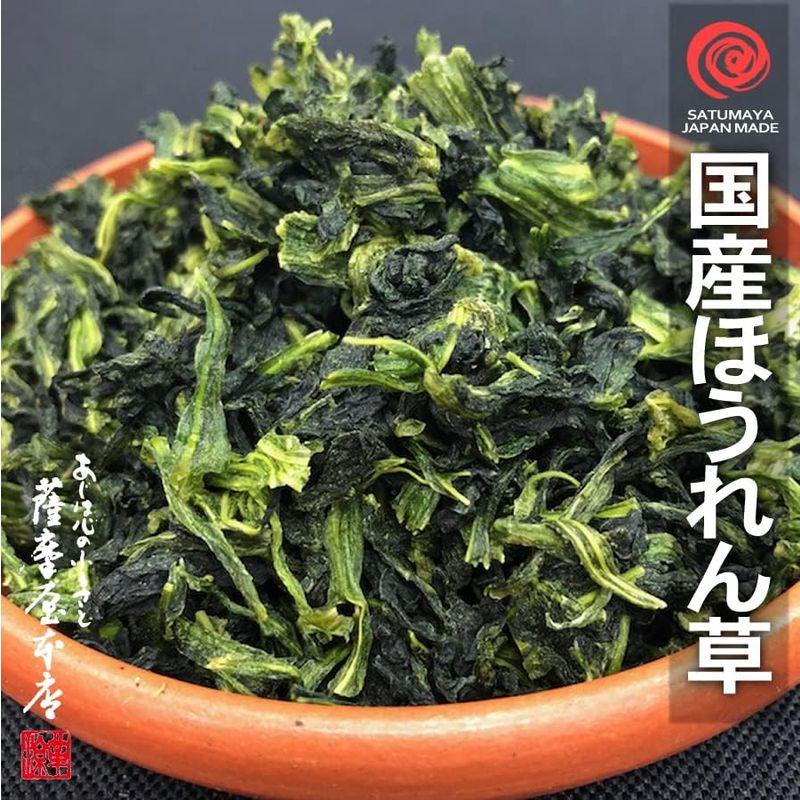 国産乾燥ほうれん草 100g 国産乾燥野菜シリーズ エアドライ 低温熱風乾燥製法 九州産 熊本県産 みそ汁 フリーズドライ ドライベジタブル