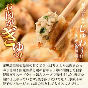 ふるさと納税 a442 鹿児島黒豚「短鼻豚」無添加餃子セット96個ギョーザ 餃子 無添加 惣菜 おかず おつまみ 冷凍 黒豚 国産野.. 鹿児島県姶良市