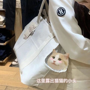💕在臺出貨🔥運動風大容量寵物包2026新款時尚簡約手提包小衆帆布通勤包健身包