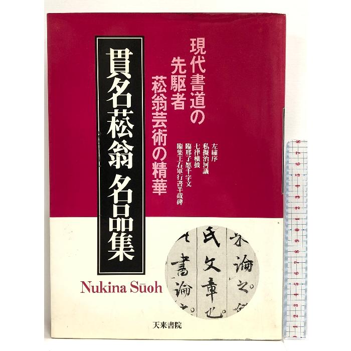 貫名菘翁名品集―現代書道の先駆者菘翁芸術の精華 天来書院 貫名 菘翁