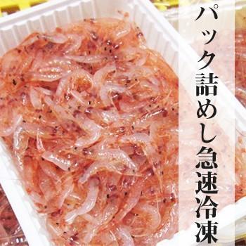 生桜えび100g｜静岡県産　由比｜製造元自社から発送｜