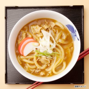 さぬきのレンチンうどん カレーうどん 10食 詰合せ うどん 常温 惣菜 麺類