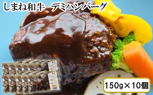 しまね和牛　デミハンバーグ　10個セット