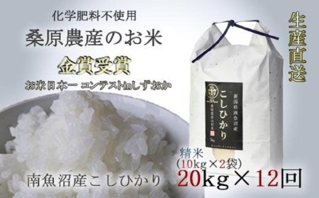 桑原農産のお米20kg(10kg×2)×12カ月　南魚沼産こしひかり