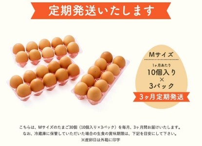 022AB01N.タズミの卵（30個×3ヶ月）