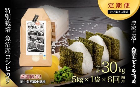 ≪令和5年産≫農家直送！魚沼産コシヒカリ特別栽培「白羽毛の米」精米(5kg×1袋)×6回 30kg