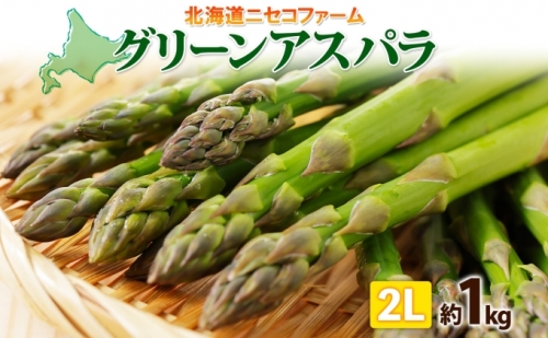 北海道産 グリーン アスパラガス 約1kg 2L アスパラガス アスパラ 旬 朝採り 野菜 新鮮 野菜 お取り寄せ 産地直送 産直 野菜 農作物 詰め合わせ アスパラ 国産 野菜 しりべしや ニセコファーム 北海道