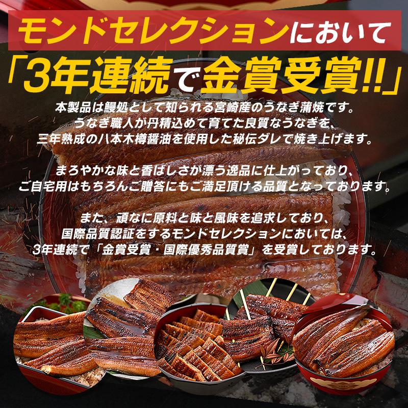 うなぎ 鰻 蒲焼き 国産 鰻の蒲焼 うなぎ蒲焼 宮崎県産 大サイズ 165g前後×1尾 山椒付き鰻蒲焼のタレ×1袋 宮崎 お歳暮 ギフト