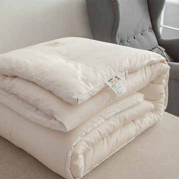 全棉A類大豆纖維抗菌被春秋單雙人空調四季通用加厚保暖被芯冬被