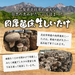 贈答用 生しいたけ(1kg)