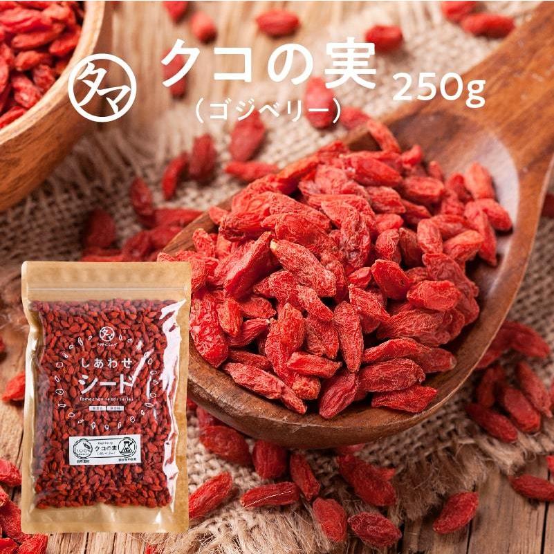 クコの実 無添加 250g お試し ゴジベリー スーパーフード ウルフベリー ポイント消化 送料無料